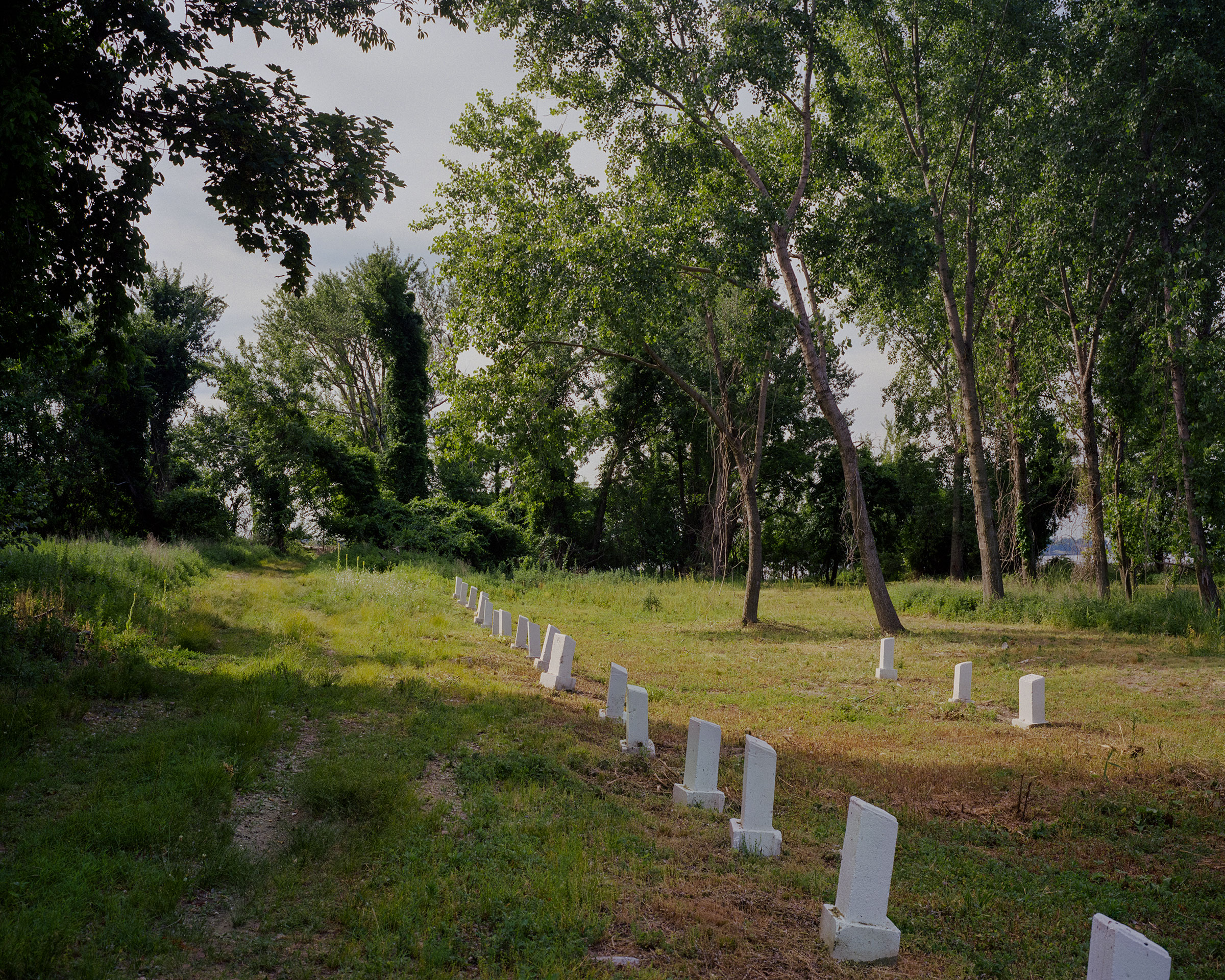 The first known AIDS victims are buried together on the southern end of Hart Island. (Sasha Arutyunova for TIME)