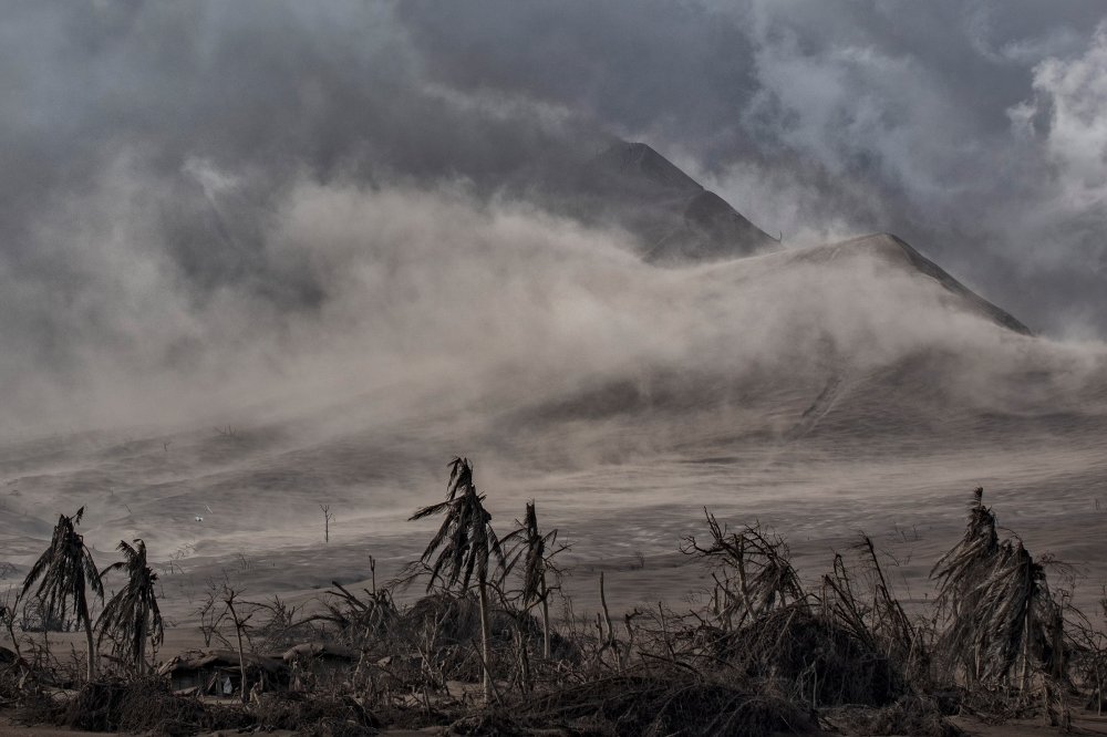 Dead trees near the Taal volcano's crater are covered in volcanic ash on Jan. 14.