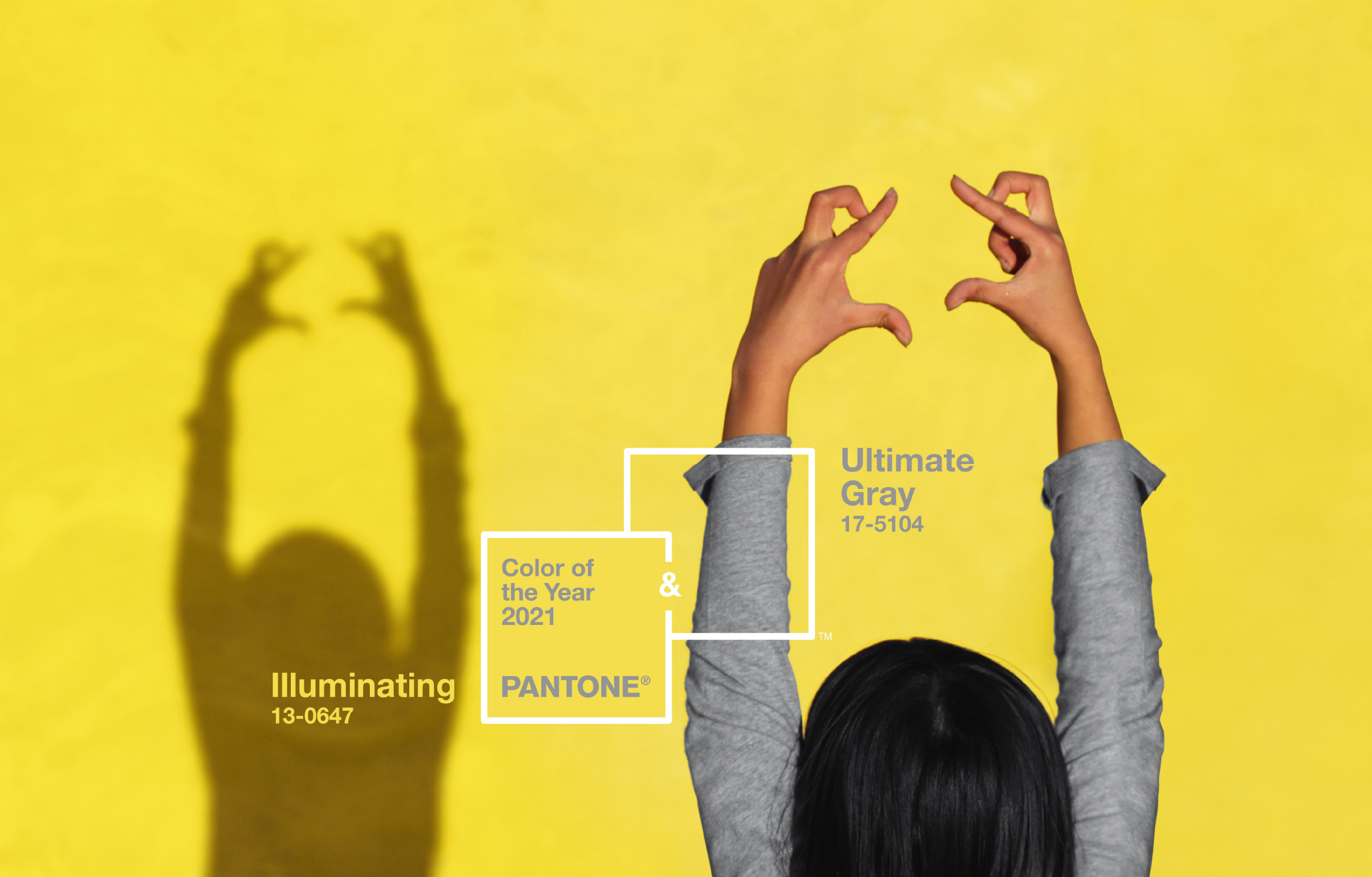 Pantone Color of the Year 2021: What to Know | Time