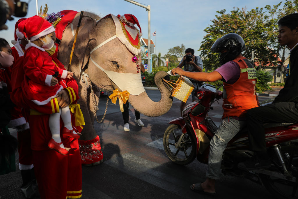 Thai elephants dressed as Santa Claus deliver face masks to motorists on a busy street corner in Phra Nakhon Si Ayutthaya, Thailand on Dec. 23, 2020. (Lauren DeCicca—Getty Images)