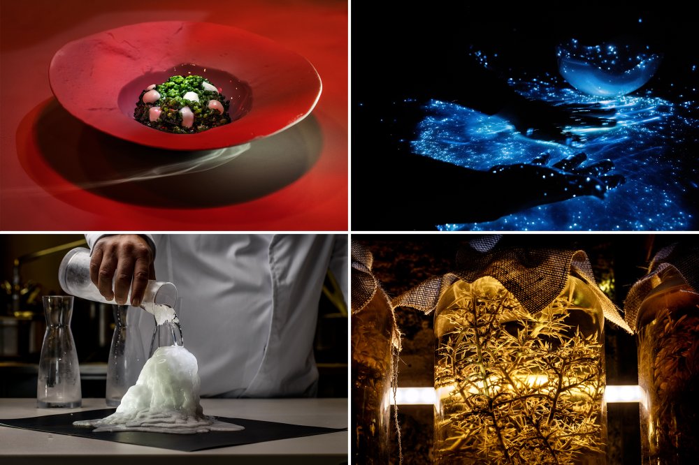 From top left, clockwise: A plankton rice dish at Aponiente; León performs Luz del Mar, mixing two proteins to get fluorescence; a halophyte plant at the restaurant lab; León performs the Sal viva technique