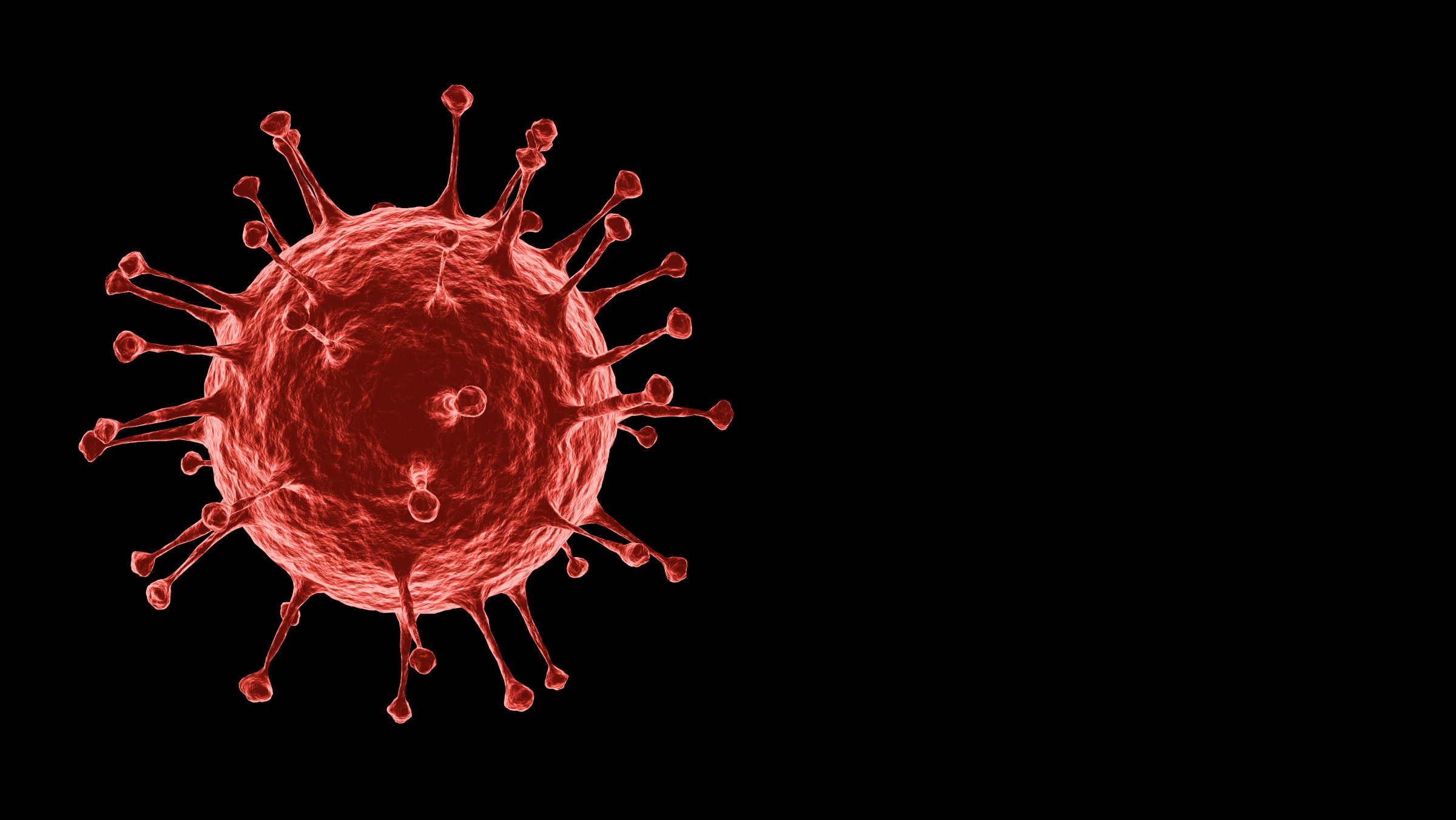 3D rendering Microscopic illustration of the spreading 2019 corona virus or Covid-19 on alpha layer black Background