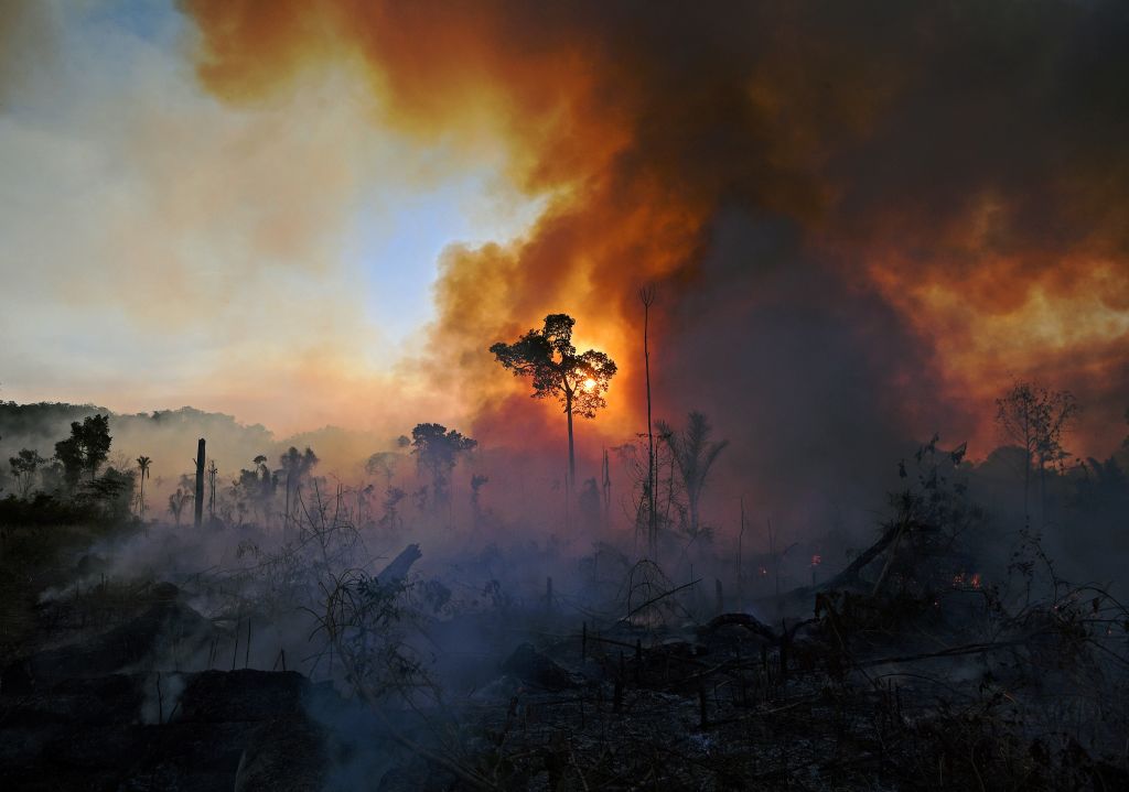 Smoke rises from an illegally lit fire in Amazon rainforest reserve, south of Novo Progresso in Para state, Brazil, on Aug. 15, 2020 (Carl da Souza—AFP via Getty Images)