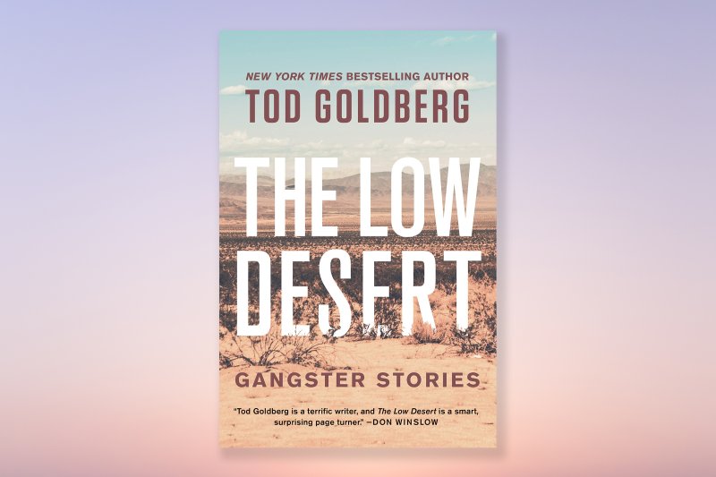 books to read february 2021 the low desert Here Are the 14 New Books You Should Read in February
