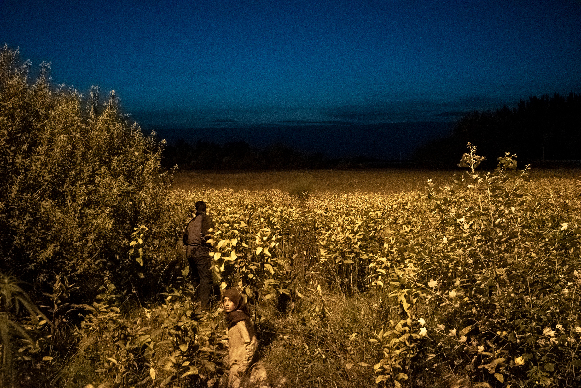 The border had closed at midnight after Hungarian officials hastily erected a barbed-wire fence, blocking thousands of Syrian, Iraqi and Afghan refugees from entering. Horgos, Serbia, 2015. (Peter van Agtmael—Magnum Photos)