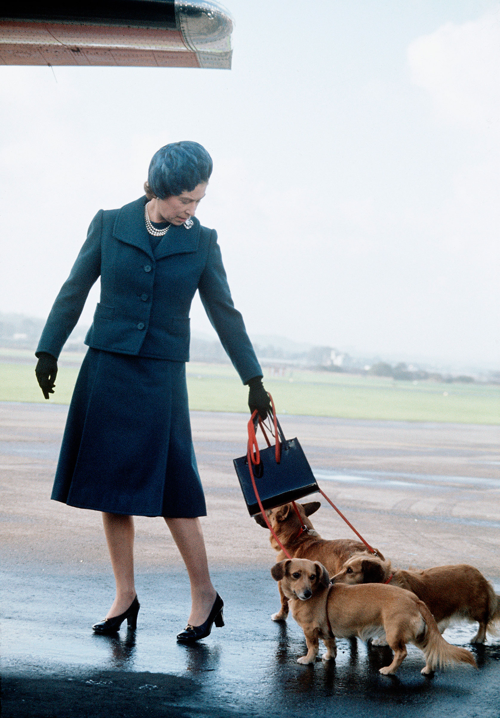 Queen Elizabeth ll arrives at Aberdeen Airport with her corgis to start her holidays in Balmoral, Scotland in 1974. (Anwar Hussein—Getty Images)