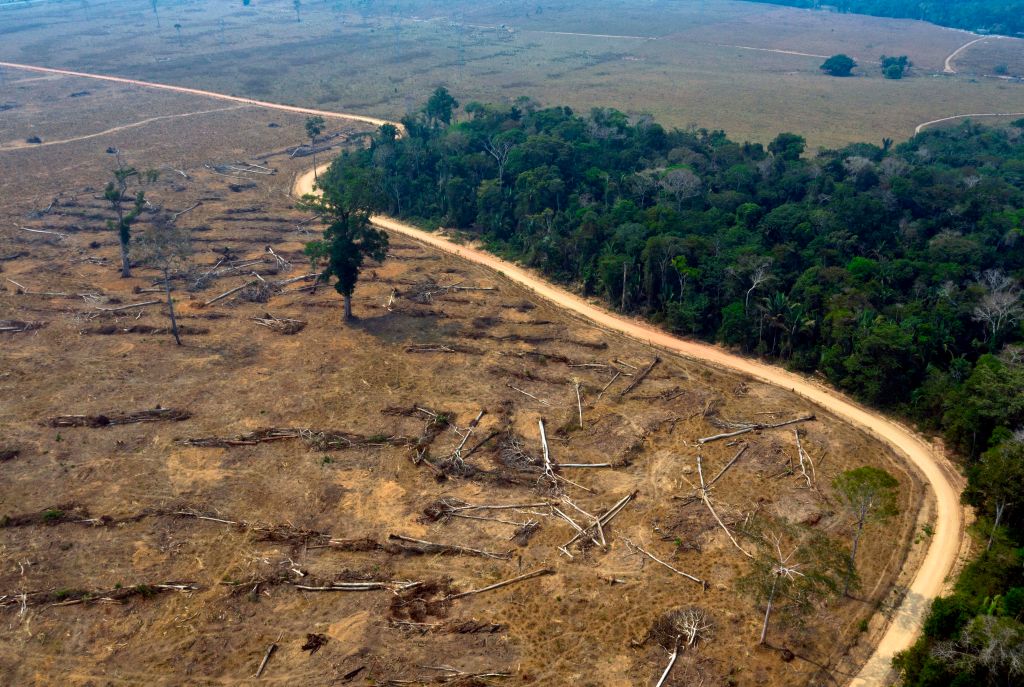 Aerial view of burnt areas of the Amazon rainforest, near Porto Velho, Rondonia state, Brazil, on August 24, 2019. (Carlos Fabal – AFP/Getty Images)