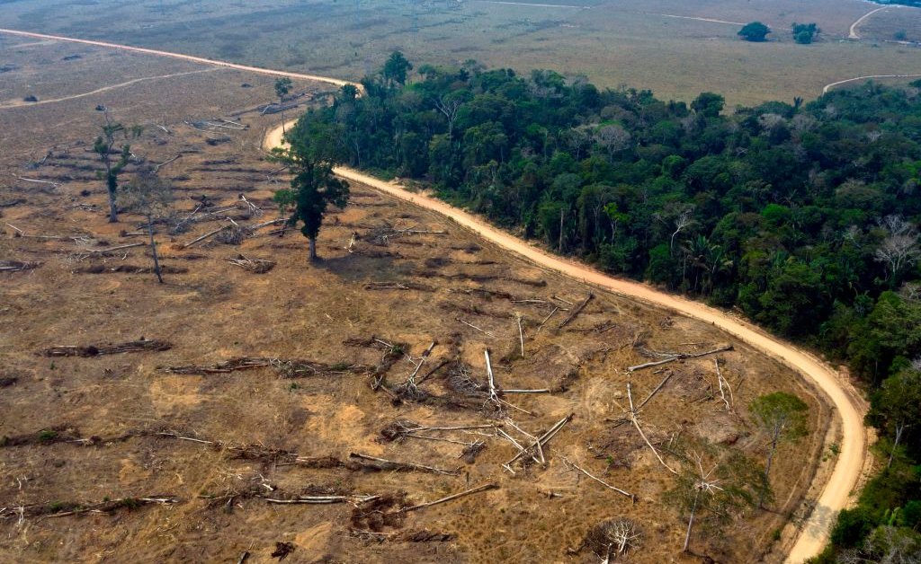Brazil Urges Biden To Distrust Bolsonaro On Amazon Climate Time