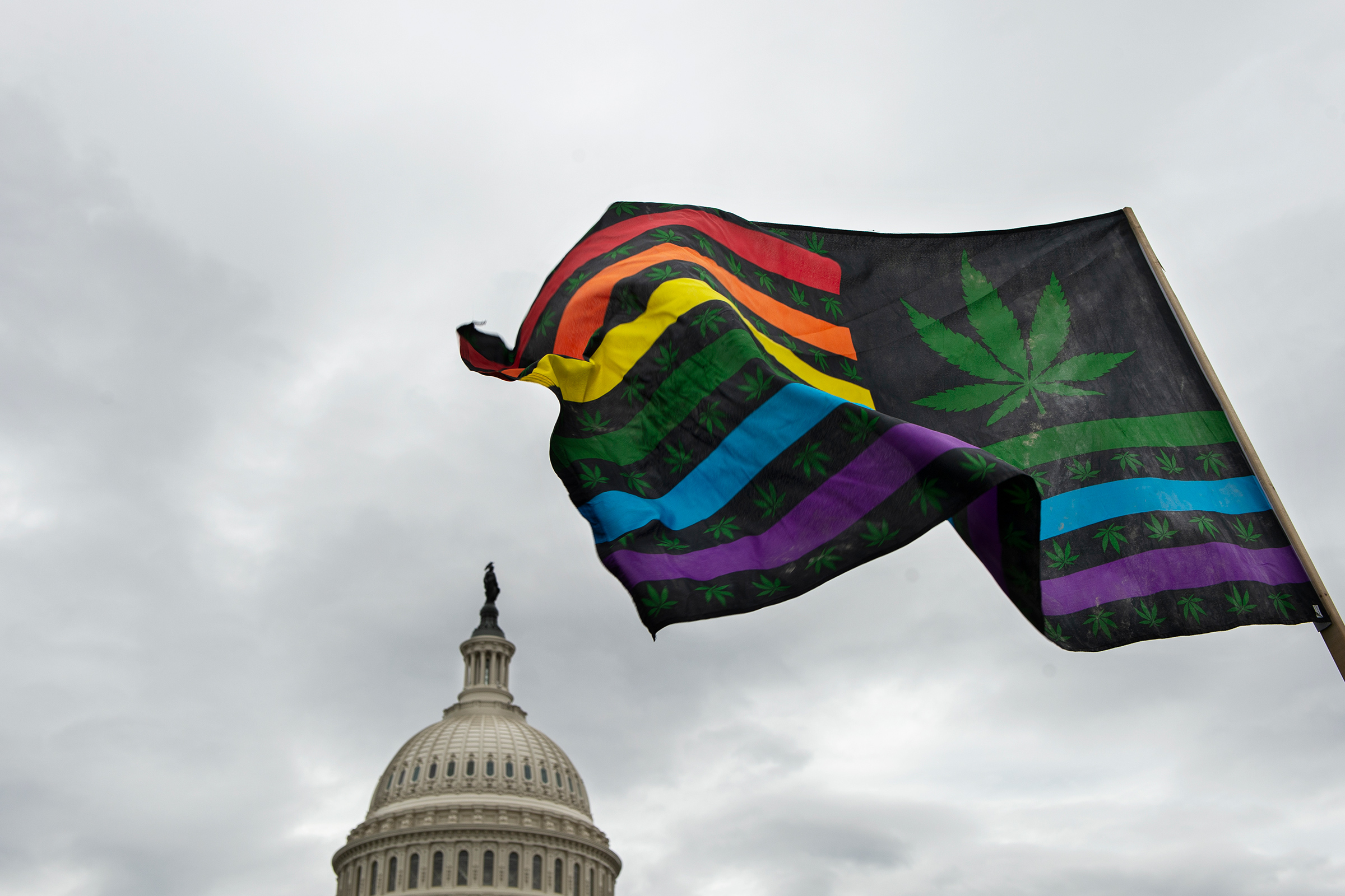 Activists hold a rally at the U.S. Capitol to call on Congress pass cannabis reform legislation on Oct. 8, 2019. (Caroline Brehman—CQ-Roll Call, Inc/Getty Images)