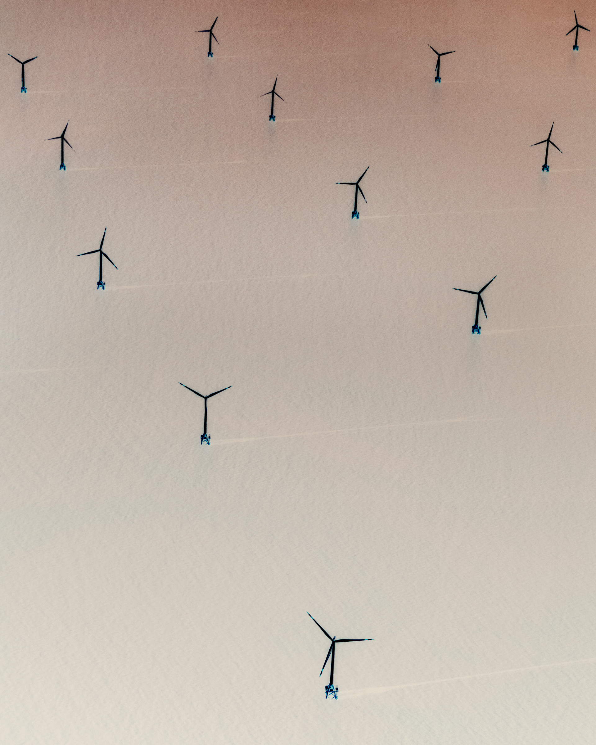 An offshore wind farm near Shanghai.
