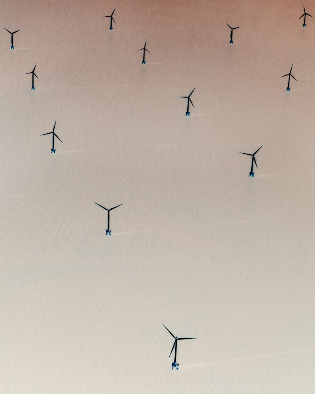 An offshore wind farm near Shanghai.