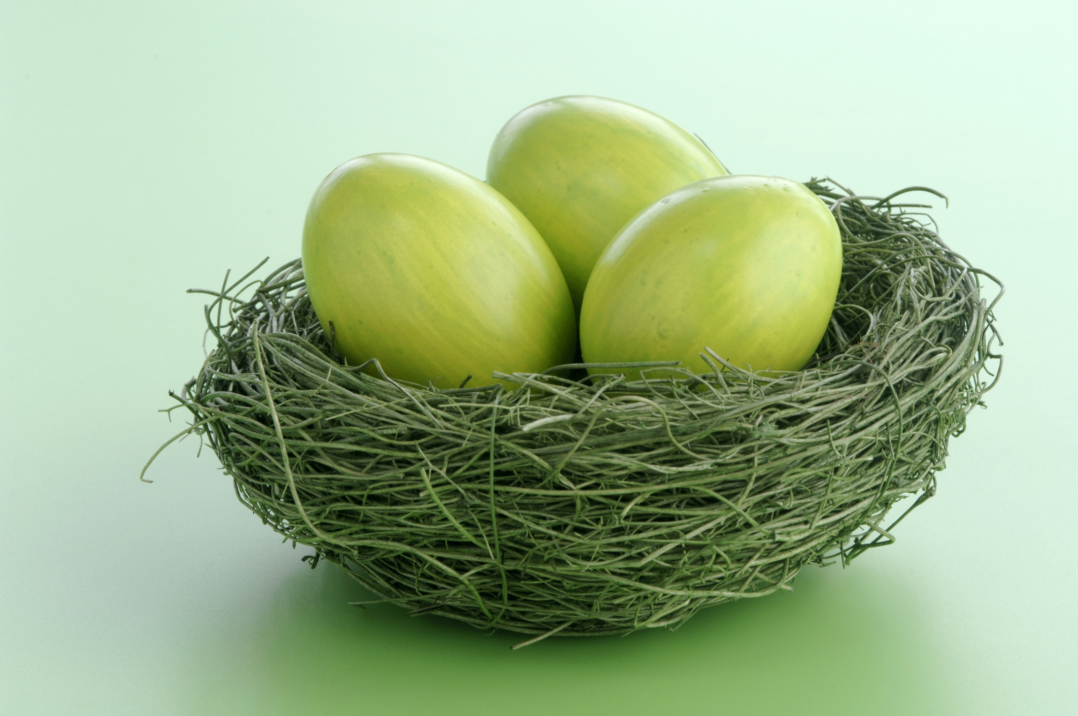How can you make sure your retirement nest egg is green? Not easily (Getty Images/Westend61)