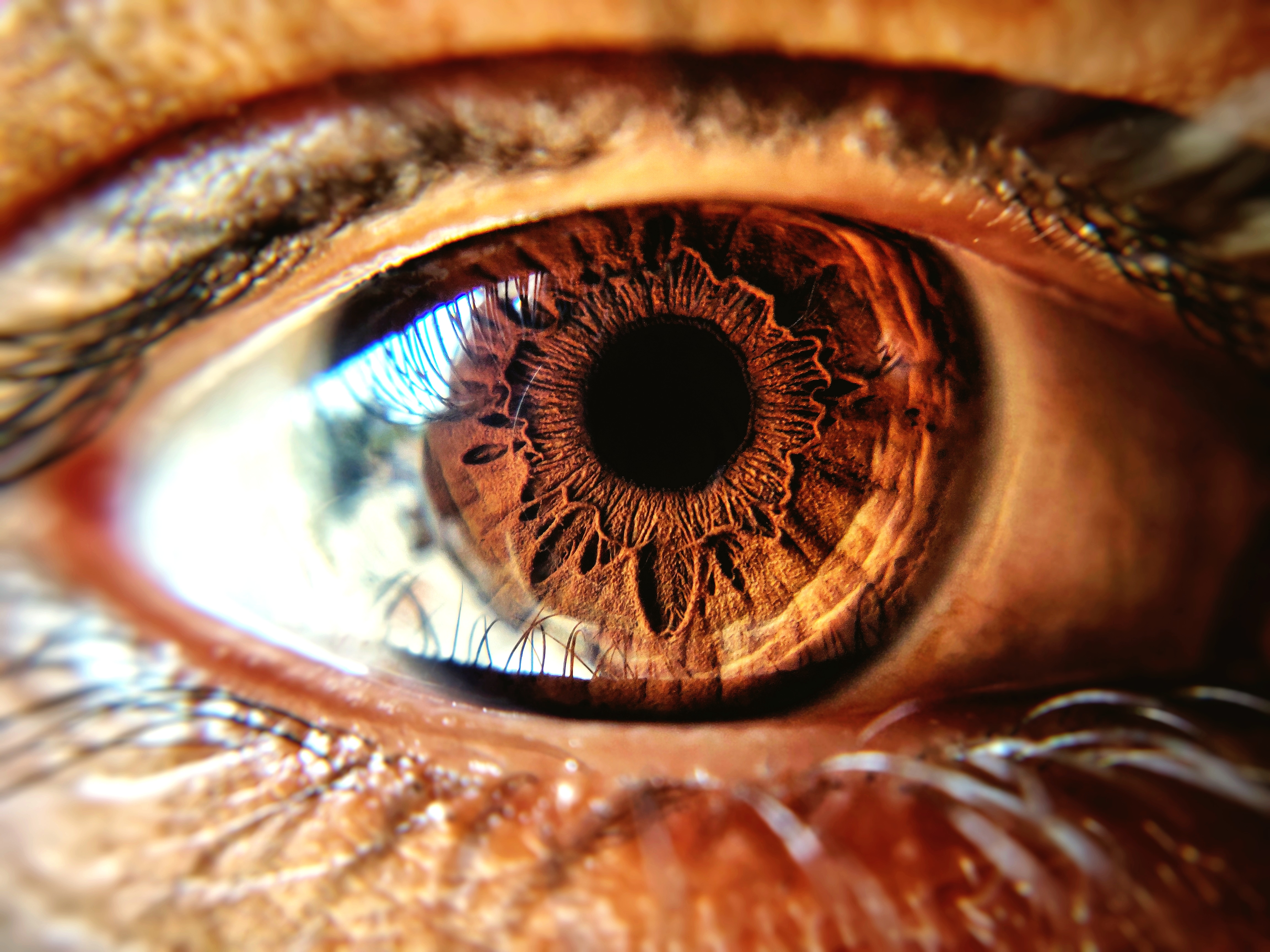 Extreme Close-Up Of Human Eye