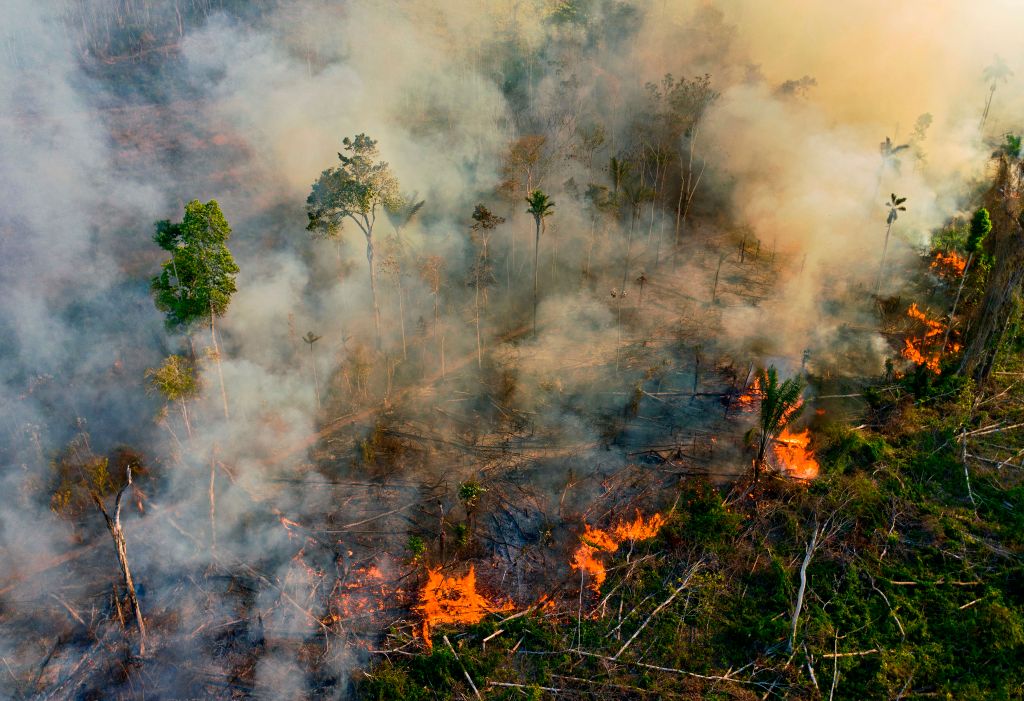 Smoke and flames rise from an illegally lit fire in Amazon rainforest reserve, south of Novo Progresso in Para state, Brazil, on August 15, 2020. (Carl de Souza —AFP/ Getty Images)