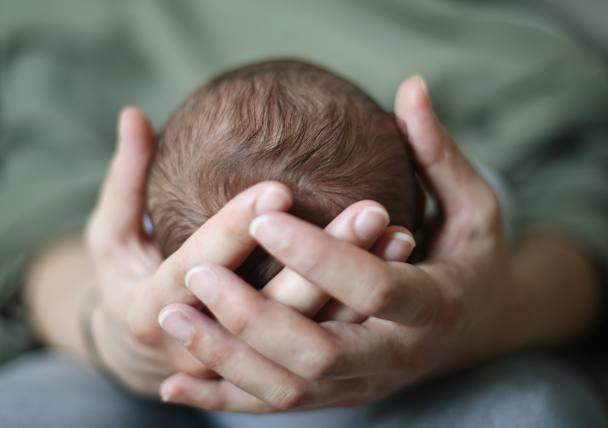 The head of a newborn in his mother's hands.