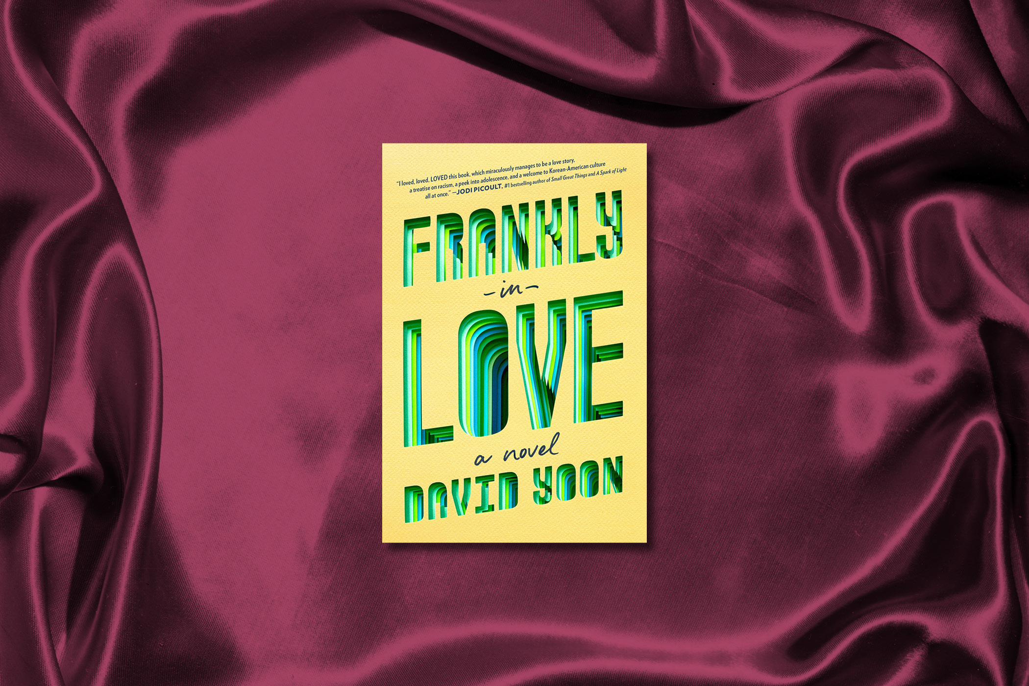 frankly-in-love-best-YA-book