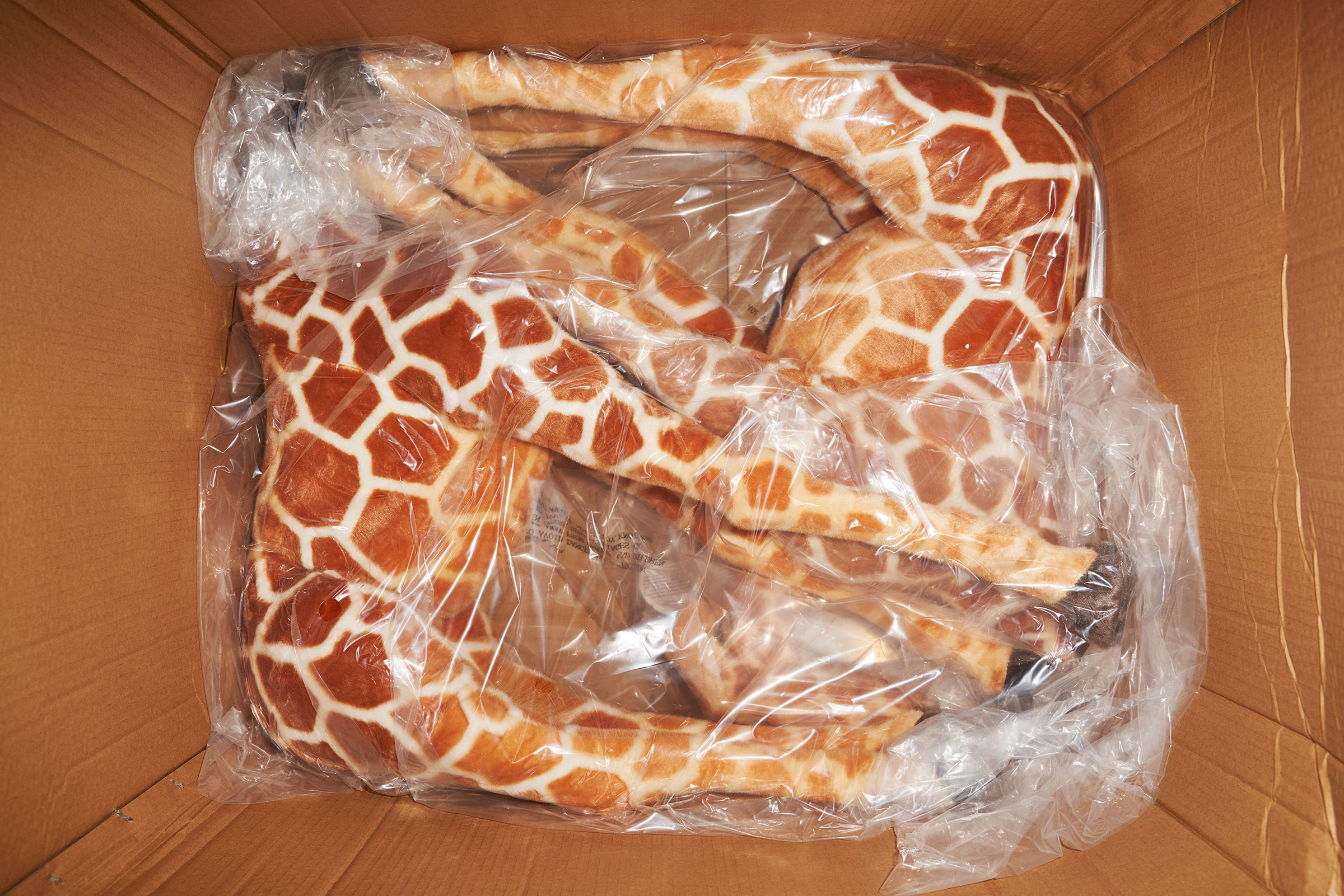 Inflation Toy Giraffe Jani