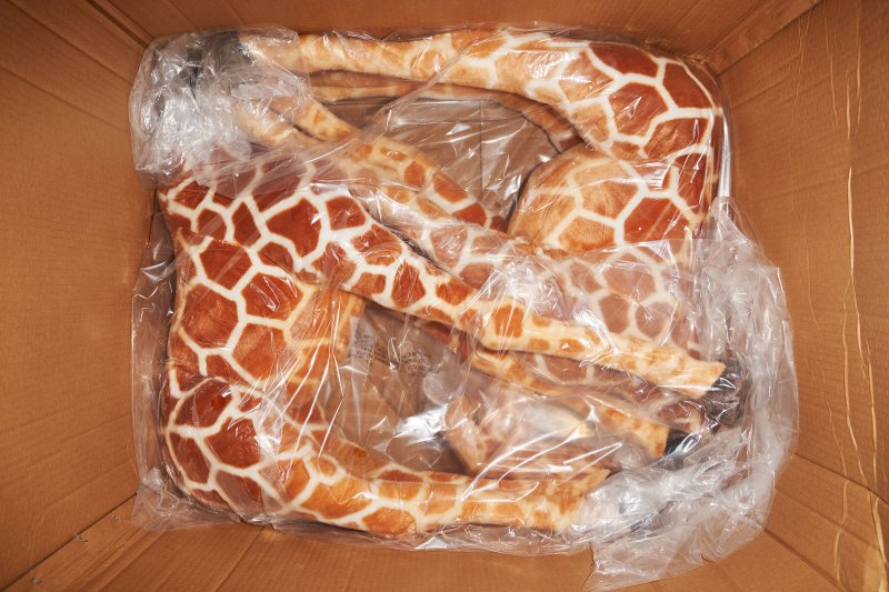 A shipment of toy giraffes at the Viahart distribution facility in Wills Point, Texas on  July 23, 2021.