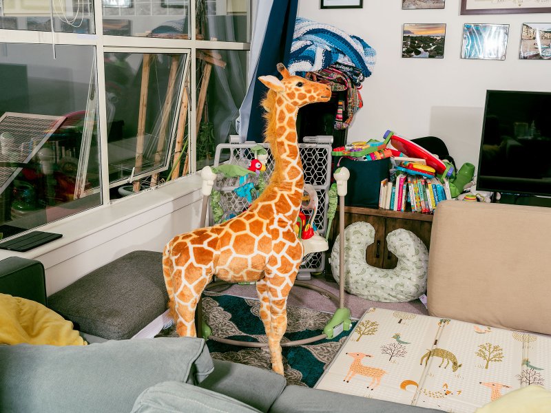 Jani the giraffe at home in San Francisco.