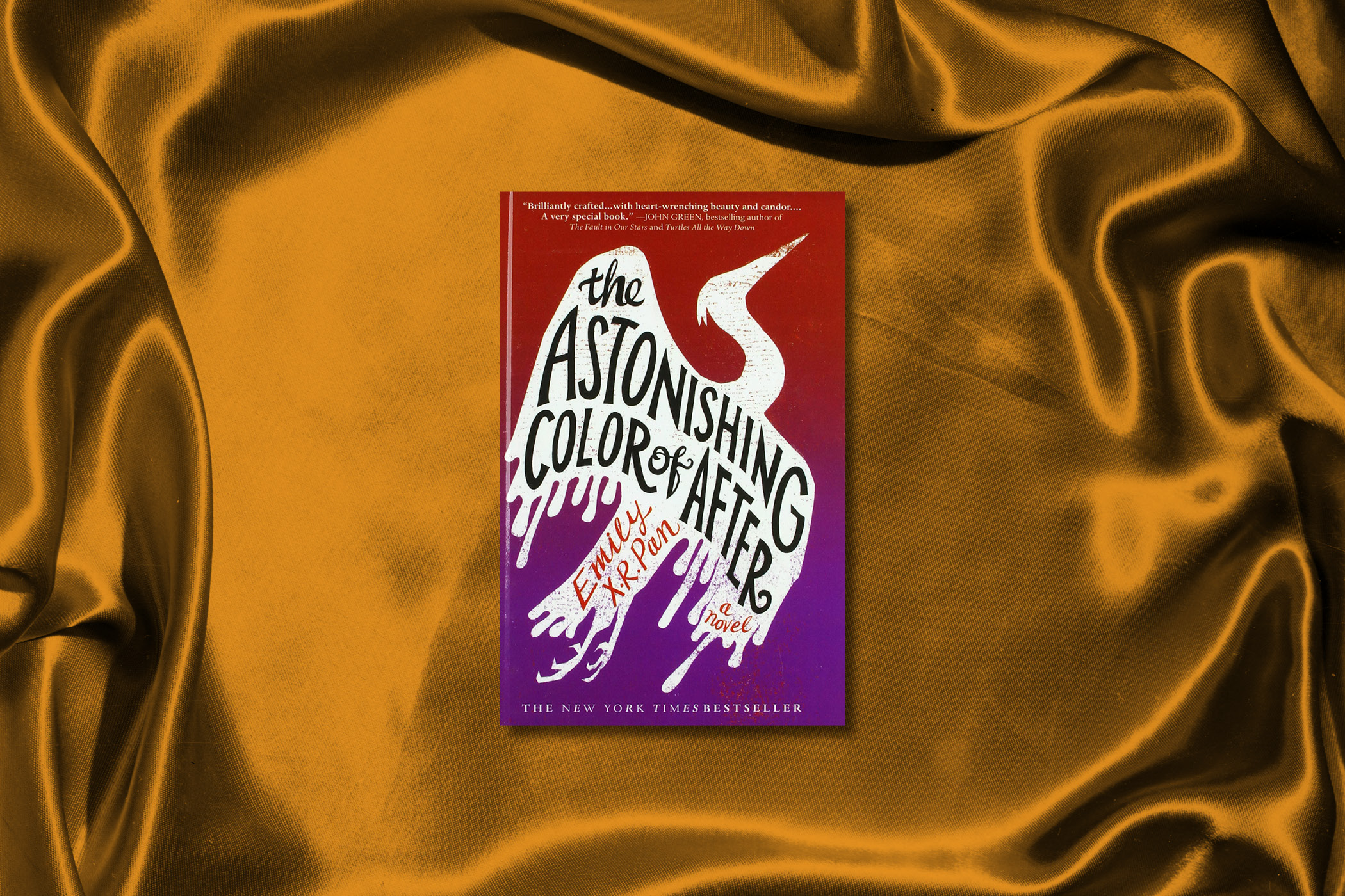 the-astonishing-color-of-after-best-YA-book