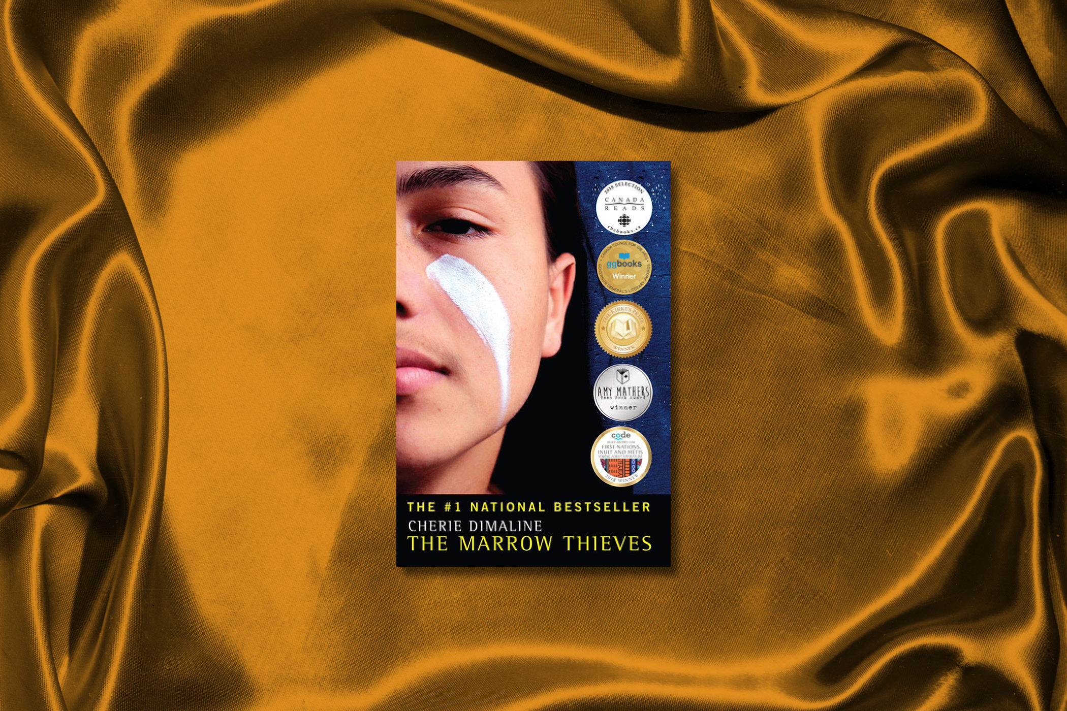the-marrow-thieves-best-YA-book