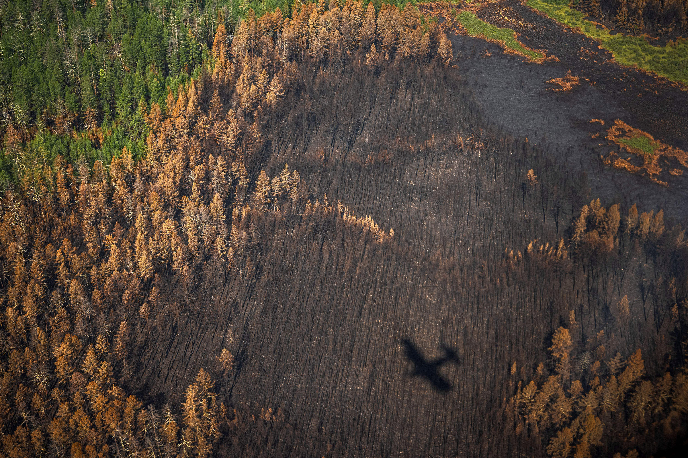 This aerial picture shows the shadow of an aircraft of the Air Forest Protection Service flying over a burned forest outside the village of Berdigestyakh, in the republic of Sakha (Yakutia) in Siberia, Russia on July 27. (Dimitar Dilkoff—AFP/Getty Images)