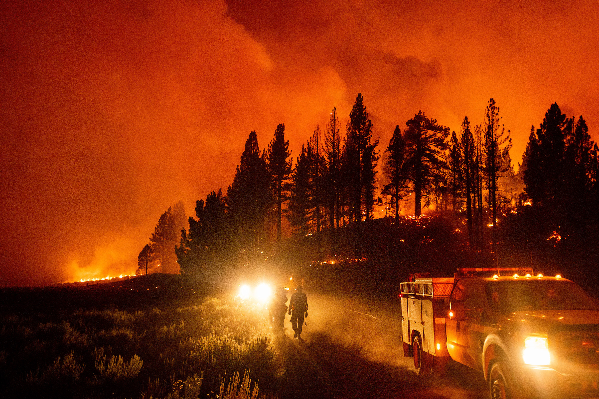 Firefighters battle the Sugar Fire, part of the Beckwourth Complex Fire, burning in Plumas National Forest, Calif., on July 8