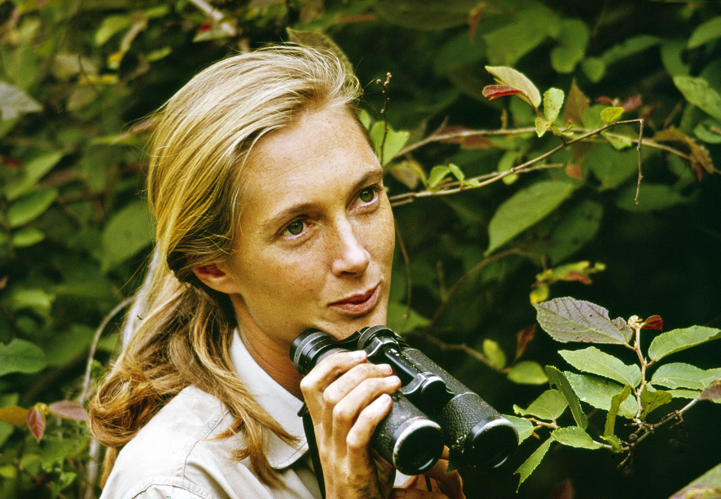 The Enduring Hope of Jane Goodall