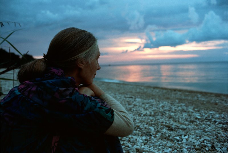 Goodall, pictured in Tanzania in 1989, has long valued solitude: “If you’re alone, you feel part of nature,” she says