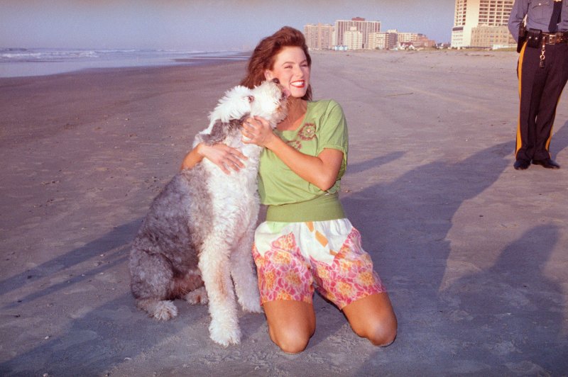 Jade, an Old English sheepdog, licks the face of the newly-crowned Miss America, Carolyn Sapp, during the traditional walk on the beach in Atlantic City, N.J. on Sept, 15, 1991.
