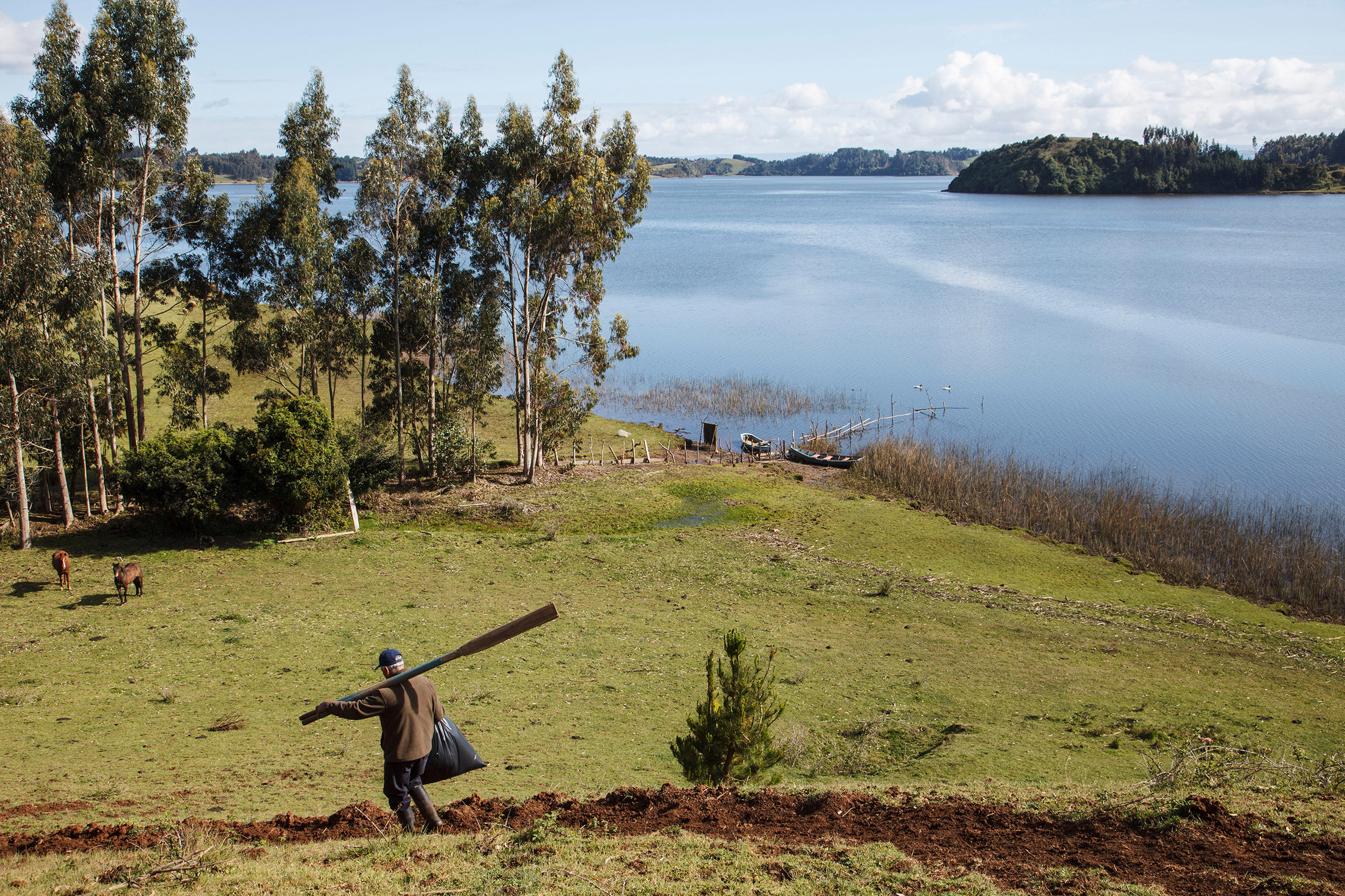 Chile is rewriting its constitution, and Loncon wants the new document to reflect Indigenous thinking on how to coexist with the natural world (Jutta Ulmer—Mauritius Images GmbH/Alamy)