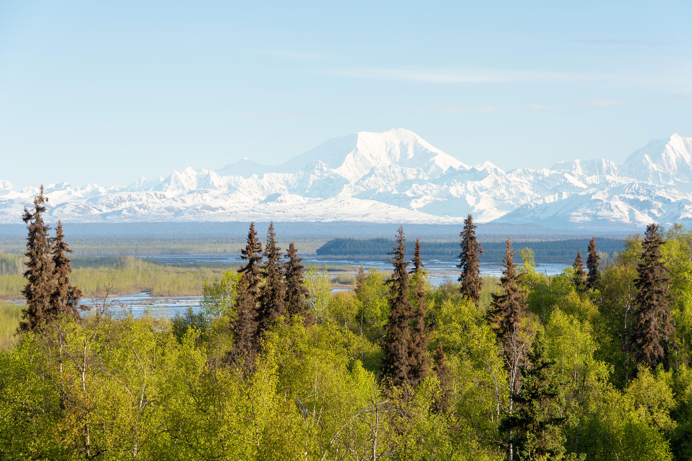 Mount Denali and adjacent snow-capped mountains as seen from Talkeetna, Alaska. (Christy Stobbs—Alamy)