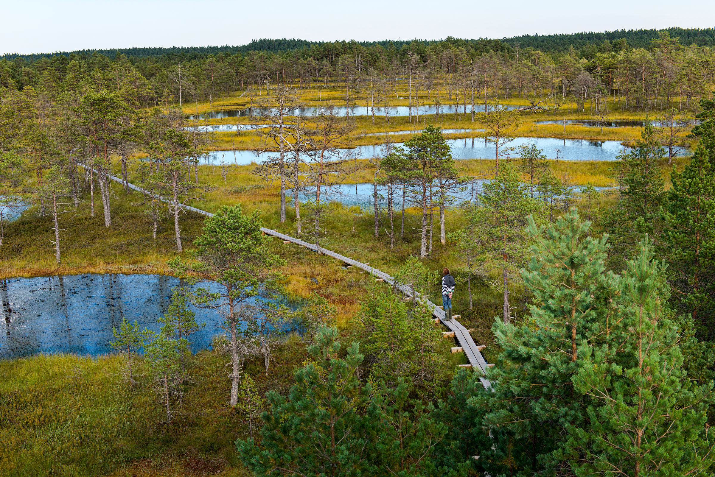 Lahemaa National Park in Estonia is connected to the new long-distance Forest Trail, which links Tallinn, Estonia to neighboring Latvia and Lithuania. (Alison Wright—Getty Images)
