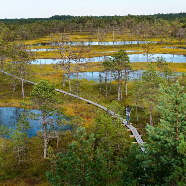 Lahemaa National Park in Estonia is connected to the new long-distance Forest Trail, which links Tallinn, Estonia to neighboring Latvia and Lithuania.