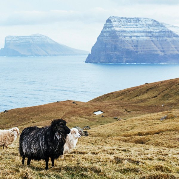 A view of Kalsoy, an island in the north-east of the Faroe Islands of Denmark
