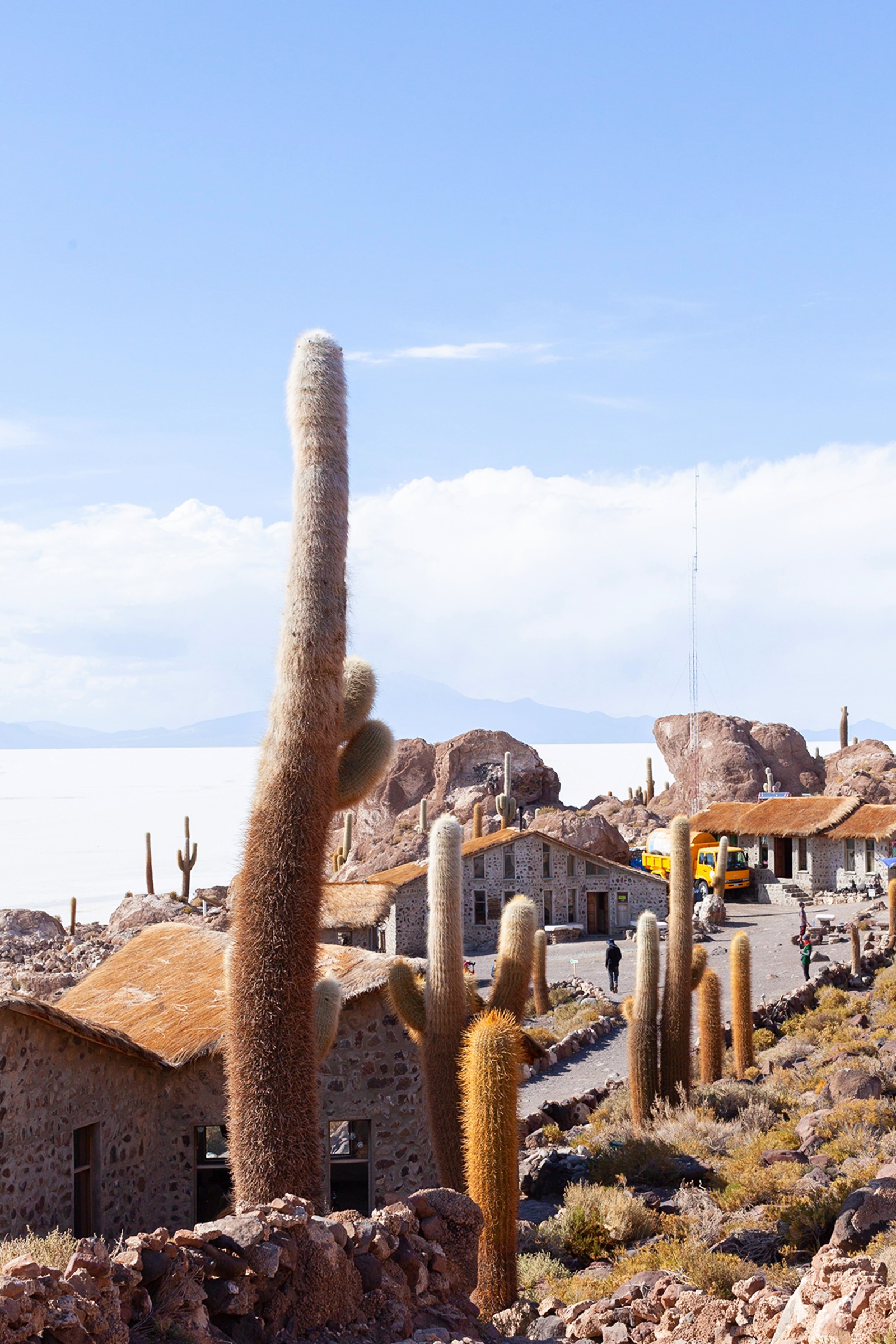 Incahuasi island, Uyuni salt-flat in Bolivia (Jimena Peck—Shutterstock)