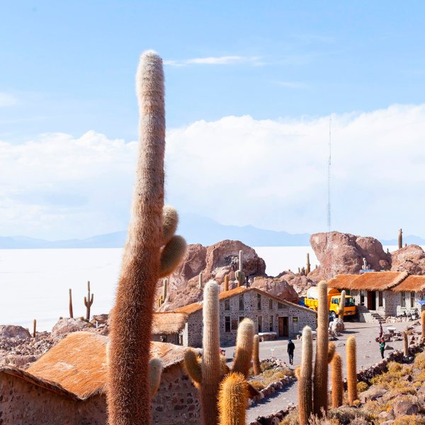 Incahuasi island, Uyuni salt-flat in Bolivia