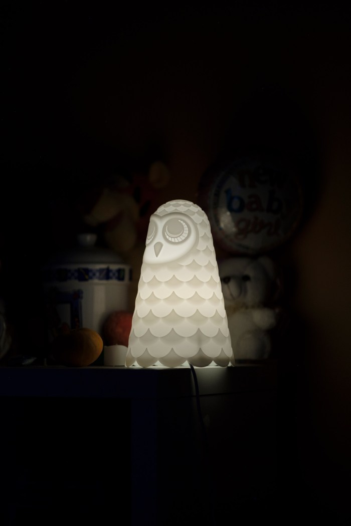 An owl-shaped lamp in Elsie Addisonâ€™s bedroom. Elsieâ€™s father, Martin, used to turn off the light at night before he passed away from COVID-19. Since he passed, Elsie keeps the light on at all times. Waldick, New Jersey, 2021 Â© Sean Sirota for Time Magazine