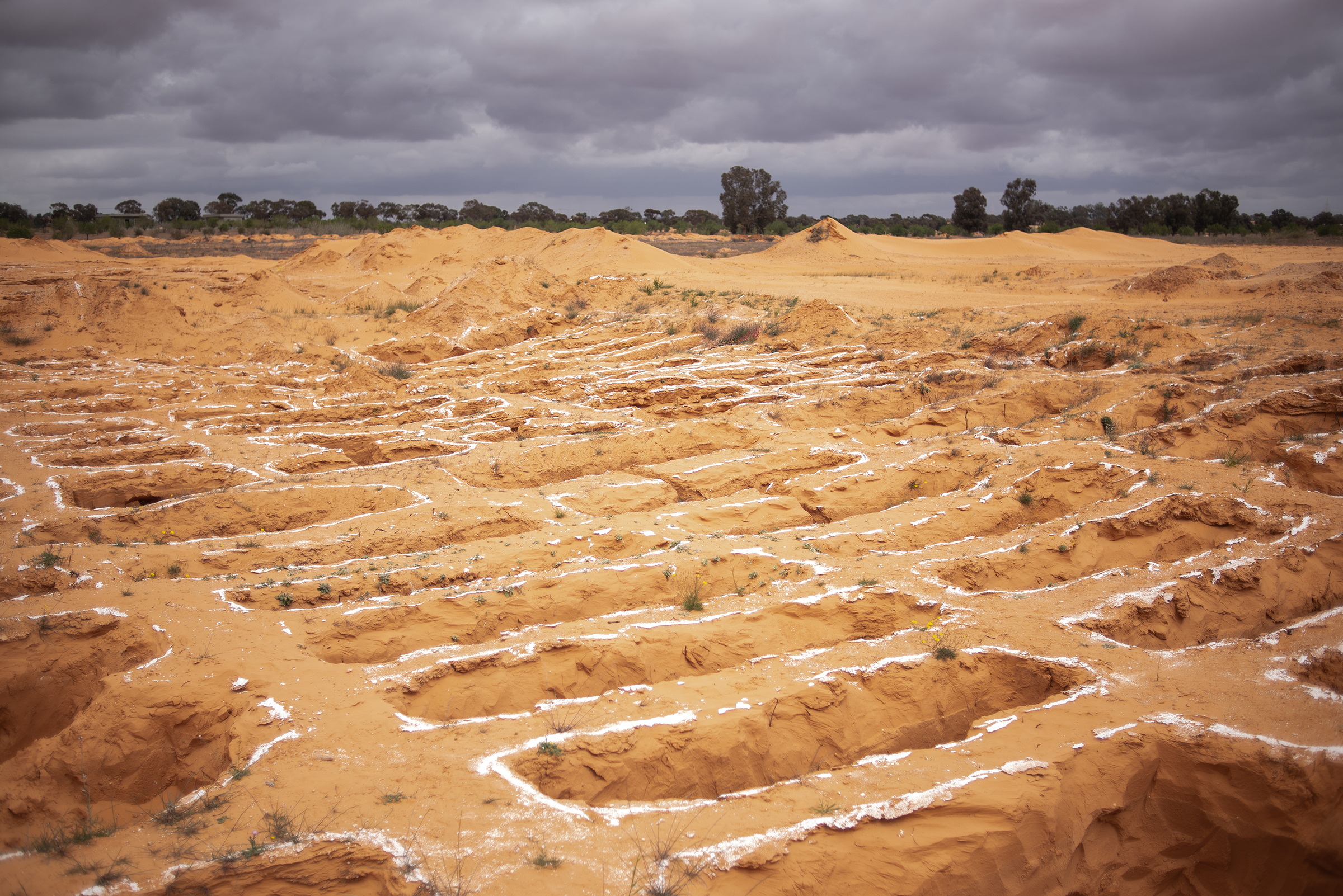 Rows of holes are seen at a mass grave on the eight-acre Harouda family farm in Tarhuna, Libya, on March 24. Hundreds were killed in recent years by a militia that used the town as a staging ground to assist in an ultimately failed offensive to gain control of Tripoli. (Nada Harib—Getty Images)