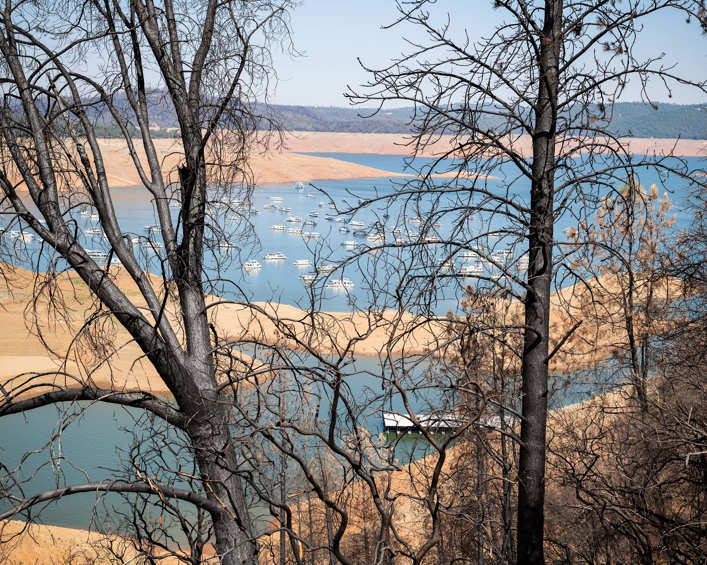 A view of Lake Oroville through trees burnt by a previous <a href=