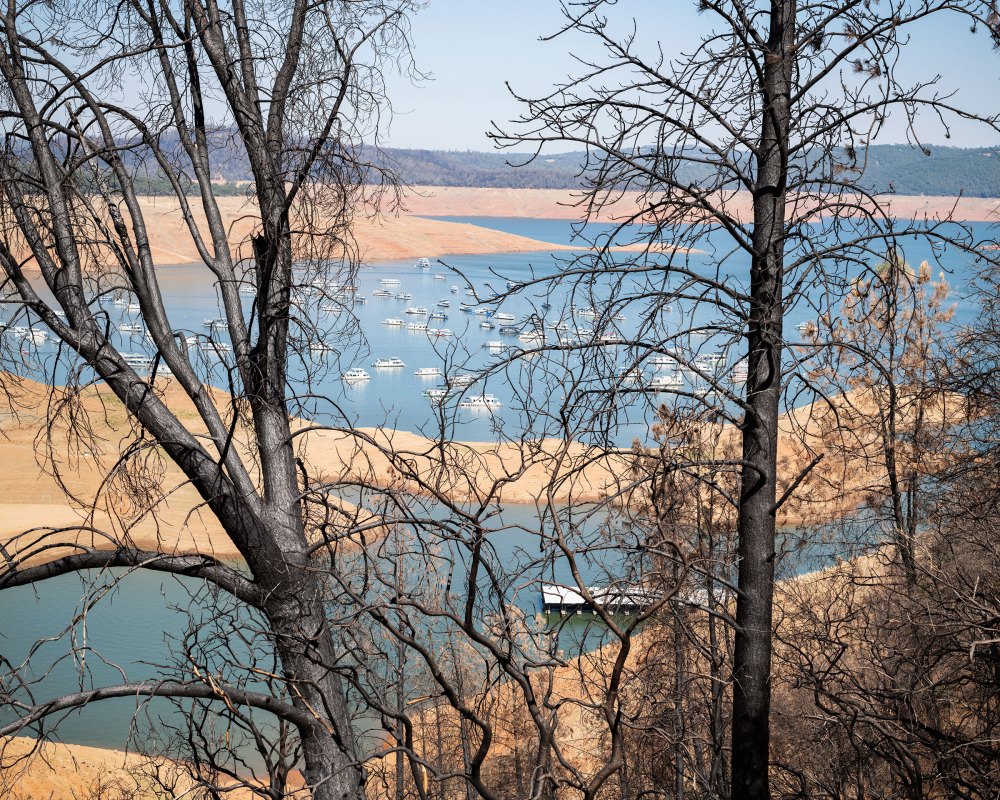 A view of Lake Oroville through trees burnt by a previous fire season, in California on Jul. 2, 2021. Photo by Adam Ferguson
