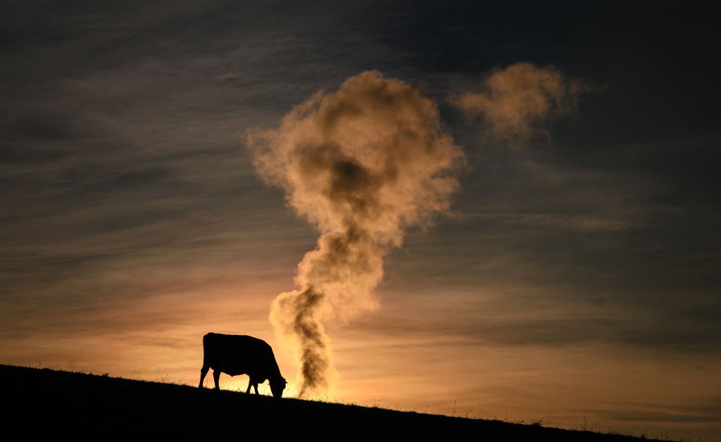 To Save Itself, Meat Inc. Needs To Track Methane Emissions | Time