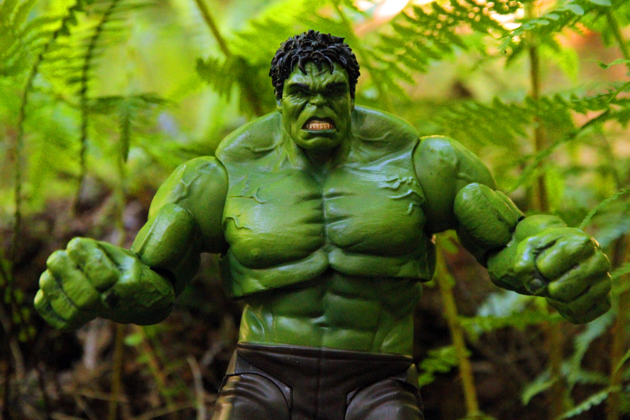 West Vancouver, Canada - May 19, 2015: A toy of the Incredible Hulk in the rainforest of Lighthouse Park in the City of West Vancouver, British Columbia. The Hulk is a large green creature with unlimited strength that manifests when he is angry. The Hulk is the alter ego of Bruce Banner, a meek and socially awkward scientist. The toy is from Marvel Select. (Brendan Hunter—Getty Images)
