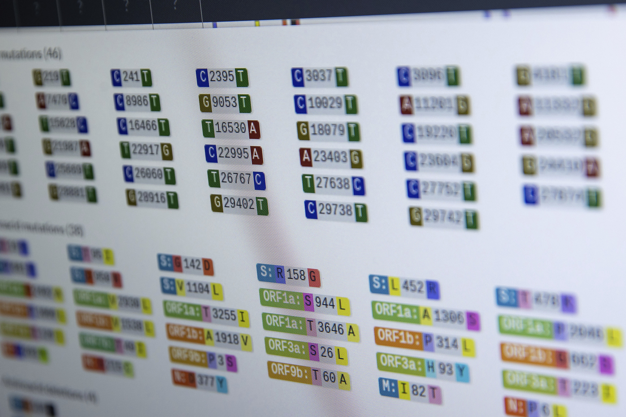 Different variants and mutations of the corona virus are graphically displayed on a computer monitor in the sequencing laboratory for corona variants (CoMV gene) at Greifswald University Medical Center. Corona viruses are constantly changing and need to be monitored by elaborate genetic analyses. In Greifswald, researchers are working at full capacity and have sequenced more than 1,500 samples in recent weeks. (Jens B'ttner–Picture Alliance/DPA/AP)