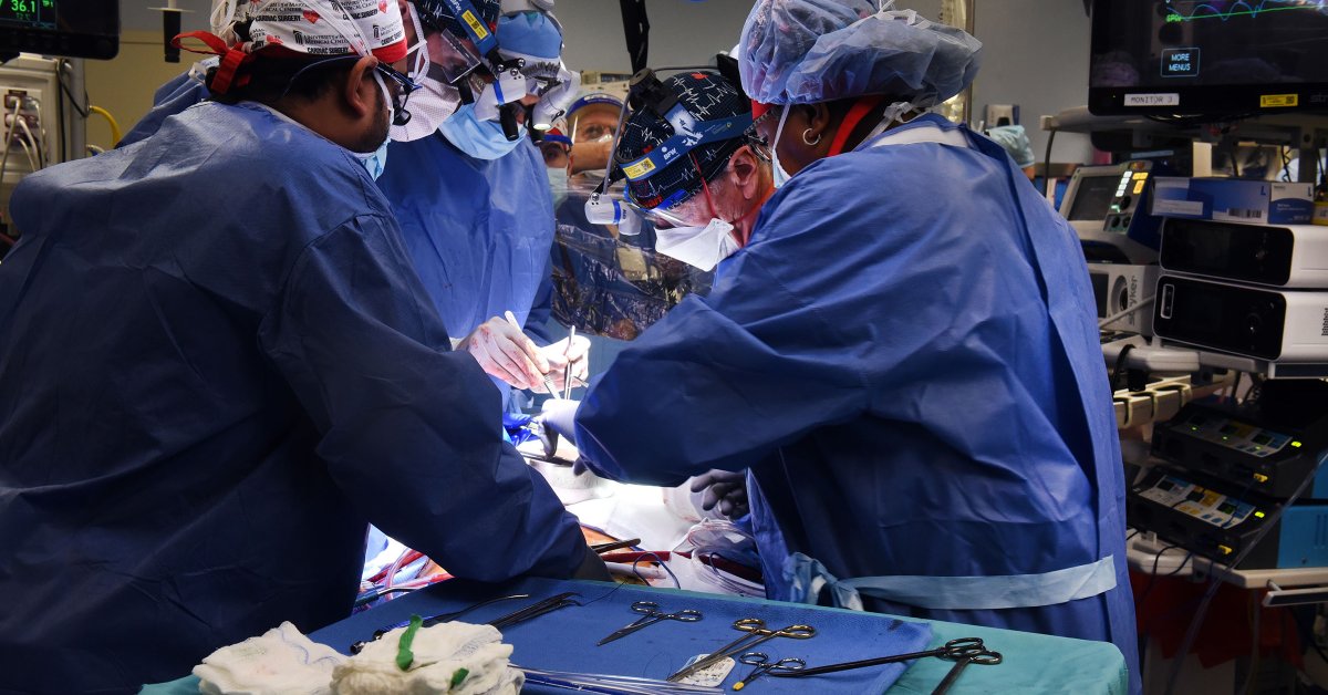 Surgeons Transplant Pig Heart Into Human Patient For the First Time Ever