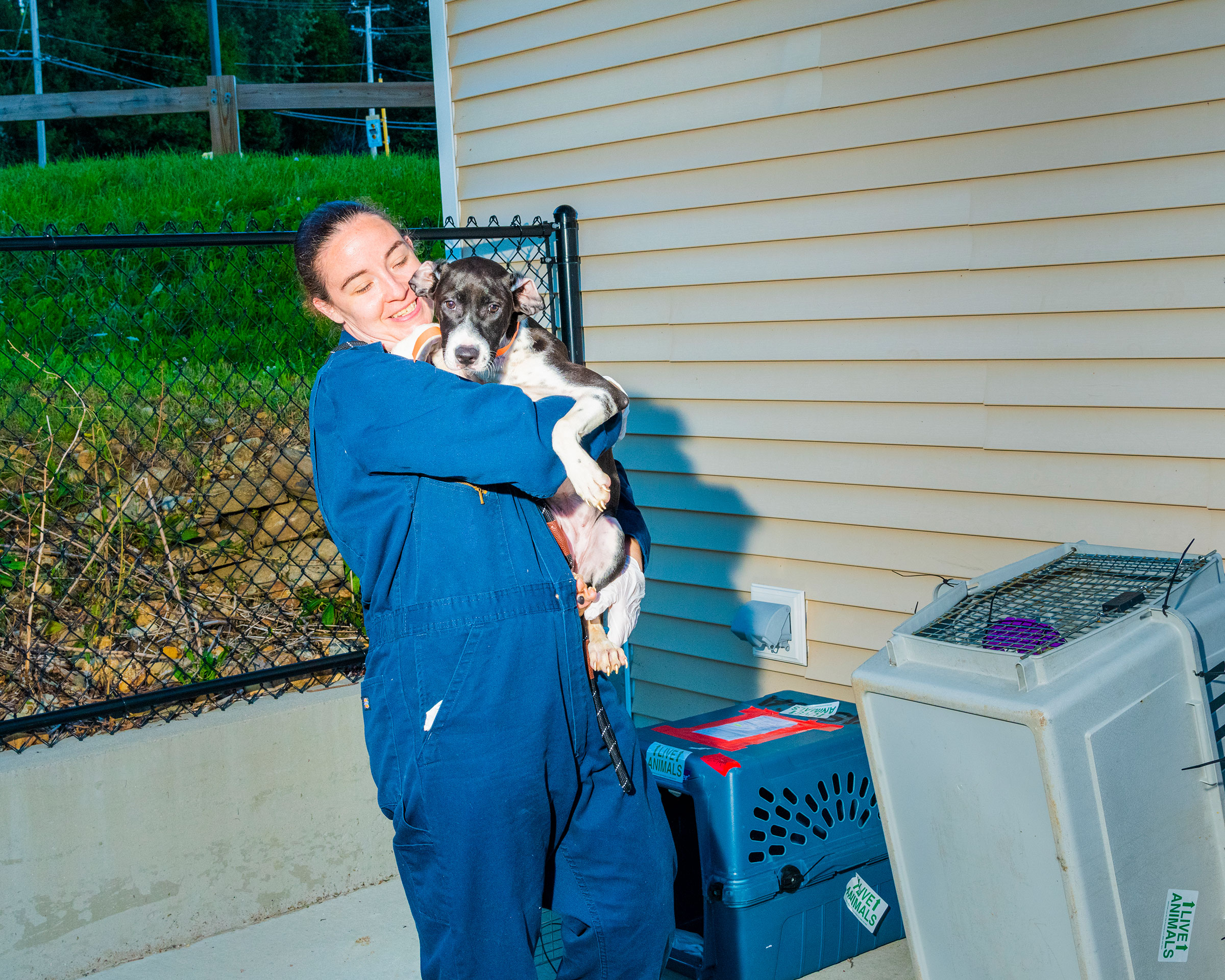 Danielle Bowes, a care and adoption counselor at Second Chance, moves Zelda from the crate she flew in