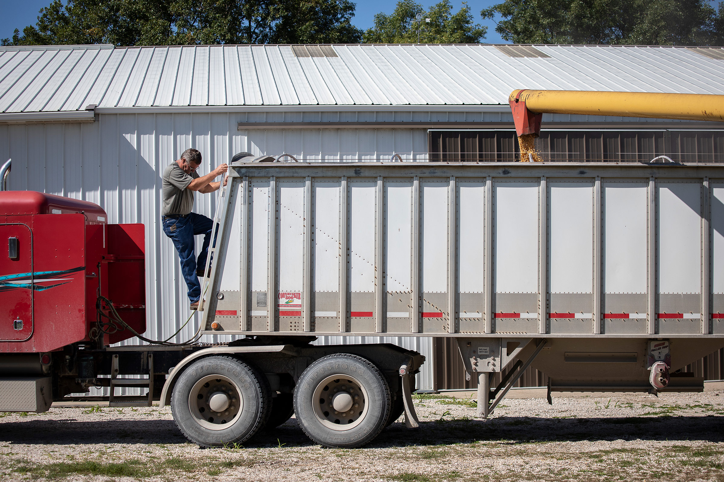 A farmer loads corn into his semi-tractor trailer used to haul grain to ethanol plants in Primghar, Iowa on Sept. 23, 2019. (Kathryn Gamble—The Washington Post/Getty Images)
