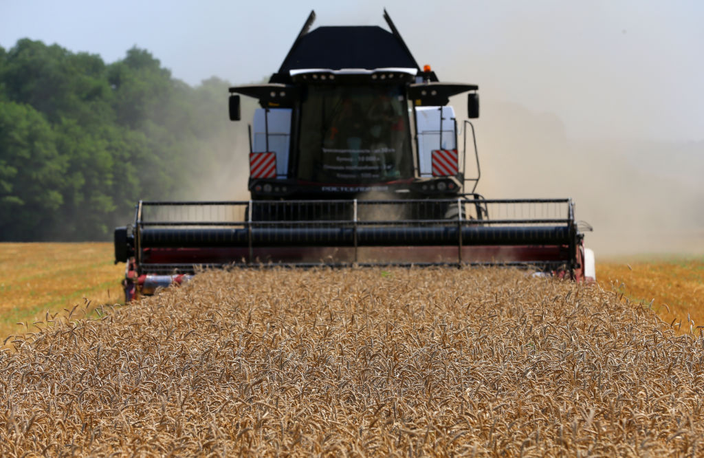 A grain harvester in a field in the village of Fyodorovka, Rostov-on-Don, Russia, on July 20, 2021. (Erik Romanenko—TASS via Getty Images)