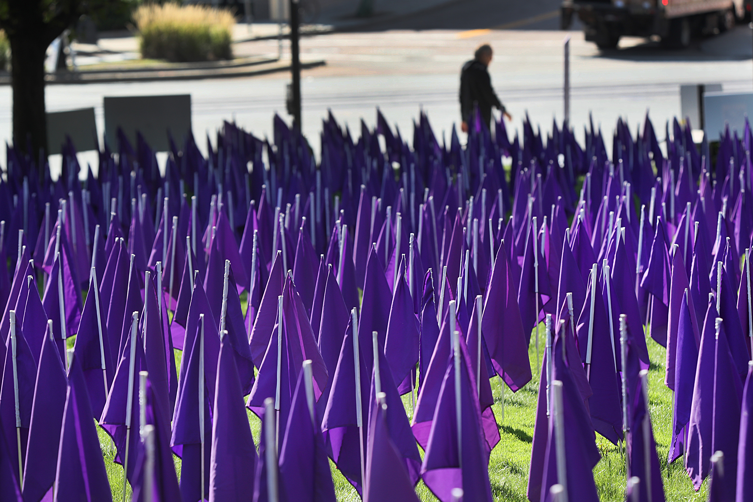 Brigham and Womens Hospital  observed National Recovery Month in September with a two-week-long arrangement of 2,104 purple flags at Thea and James M. Stoneman Centennial Park, pictured in Boston on Sept. 14, 2021. The display is being arranged by SOAR Natick, a non-profit organization that creates outreach activities to educate the community about opioid addiction and to bring awareness to the opioid epidemic. The flags represent the number of confirmed and estimated opioid deaths in 2020. (Suzanne Kreiter—The Boston Globe/Getty Images)