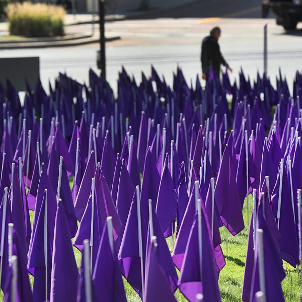 Brigham and Womens Hospital  observed National Recovery Month in September with a two-week-long arrangement of 2,104 purple flags at Thea and James M. Stoneman Centennial Park, pictured in Boston on Sept. 14, 2021. The display is being arranged by SOAR Natick, a non-profit organization that creates outreach activities to educate the community about opioid addiction and to bring awareness to the opioid epidemic. The flags represent the number of confirmed and estimated opioid deaths in 2020.